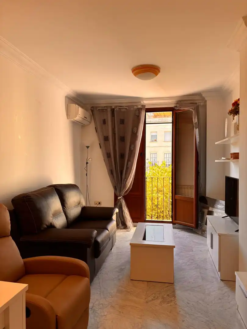 Sala de estar de Piso de alquiler en Badajoz con Aire acondicionado, Calefacción y Terraza