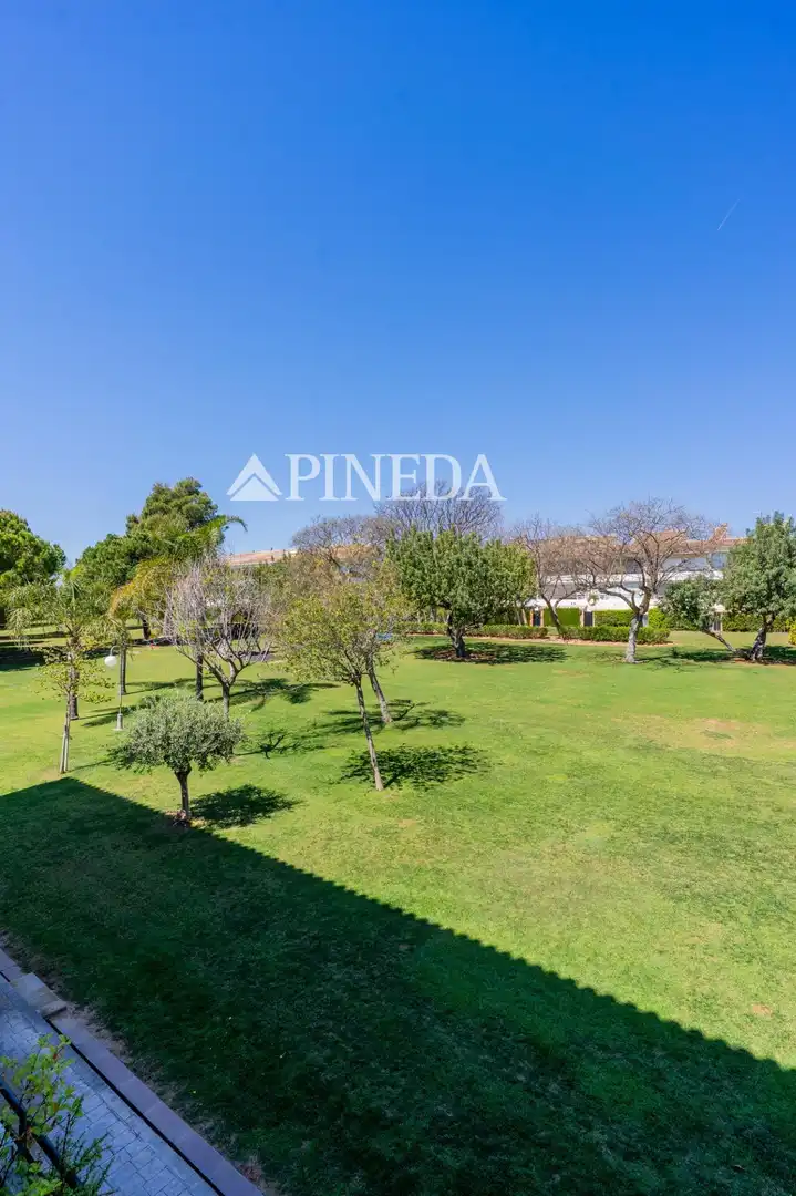 Jardí de Apartament de lloguer en Puçol amb Terrassa, Moblat i Piscina comunitària