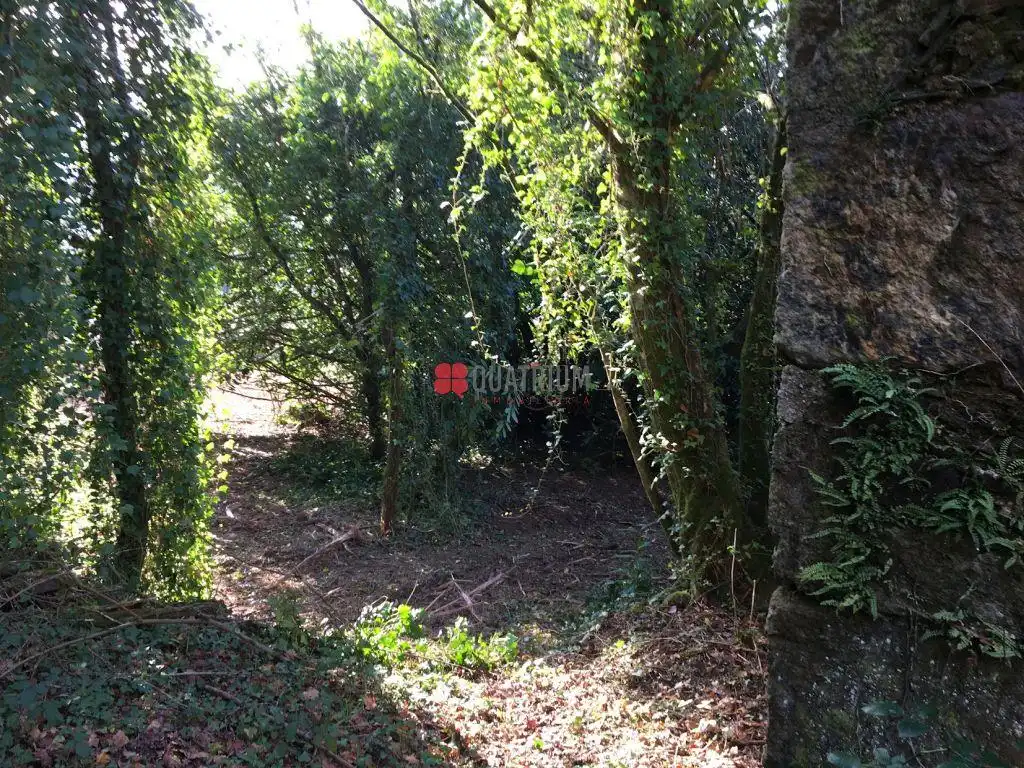 Casa o xalet en venda en Santiago de Compostela  amb Jardí privat