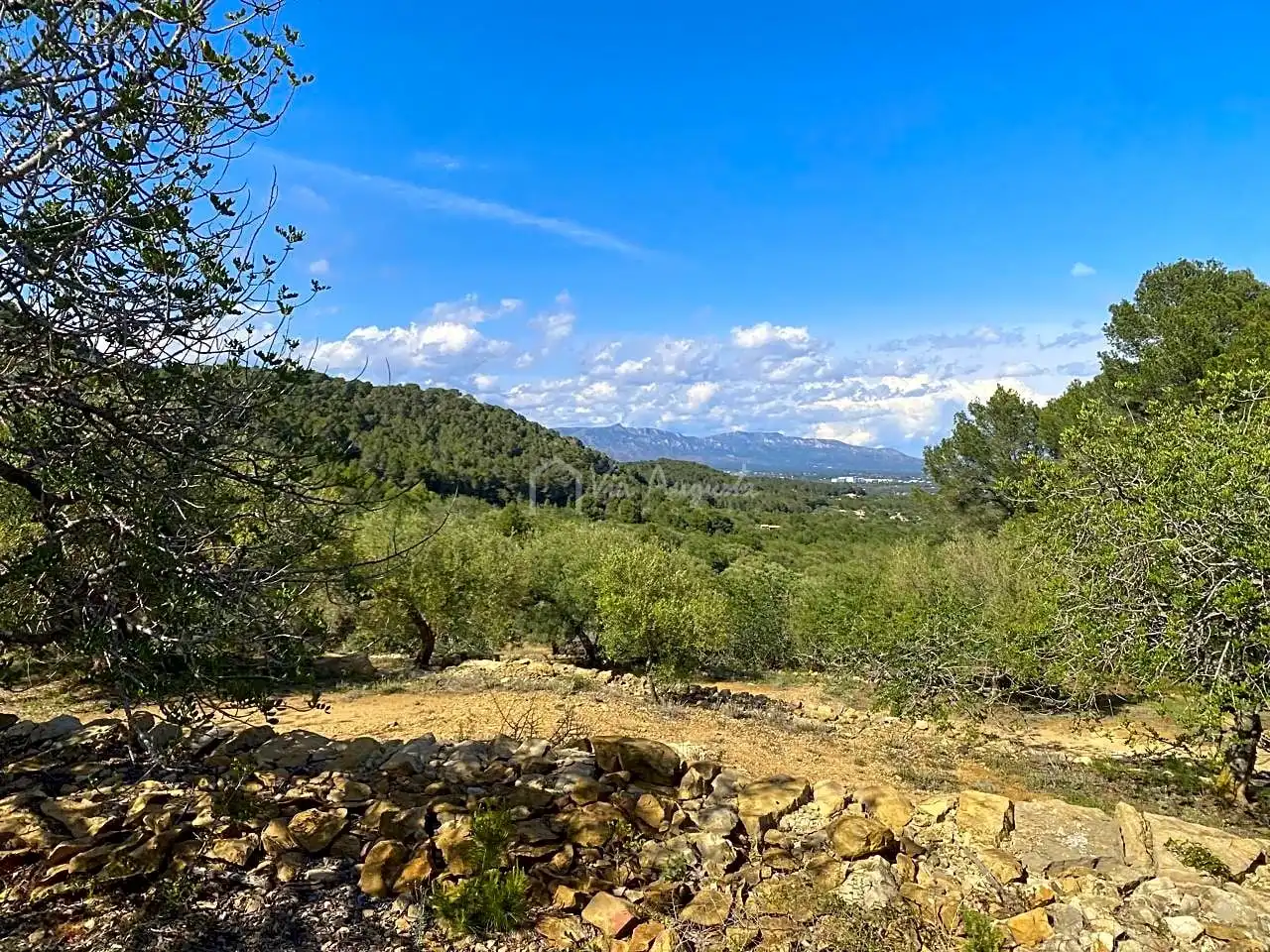 Terreno rustico in vendita a Puig Moltó, imagen 17