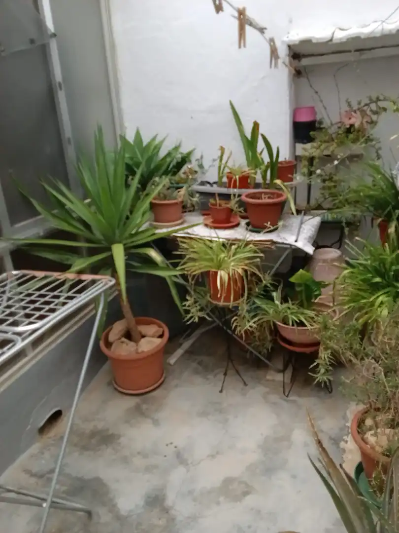 Haus zum Verkauf in Calle Cura Gómez Ruiz 19, imagen 21