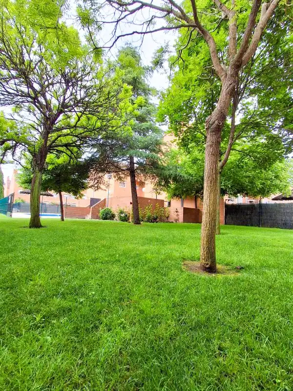 Jardí de Casa adosada en venda en Alcalá de Henares amb Aire condicionat, Calefacció i Jardí privat