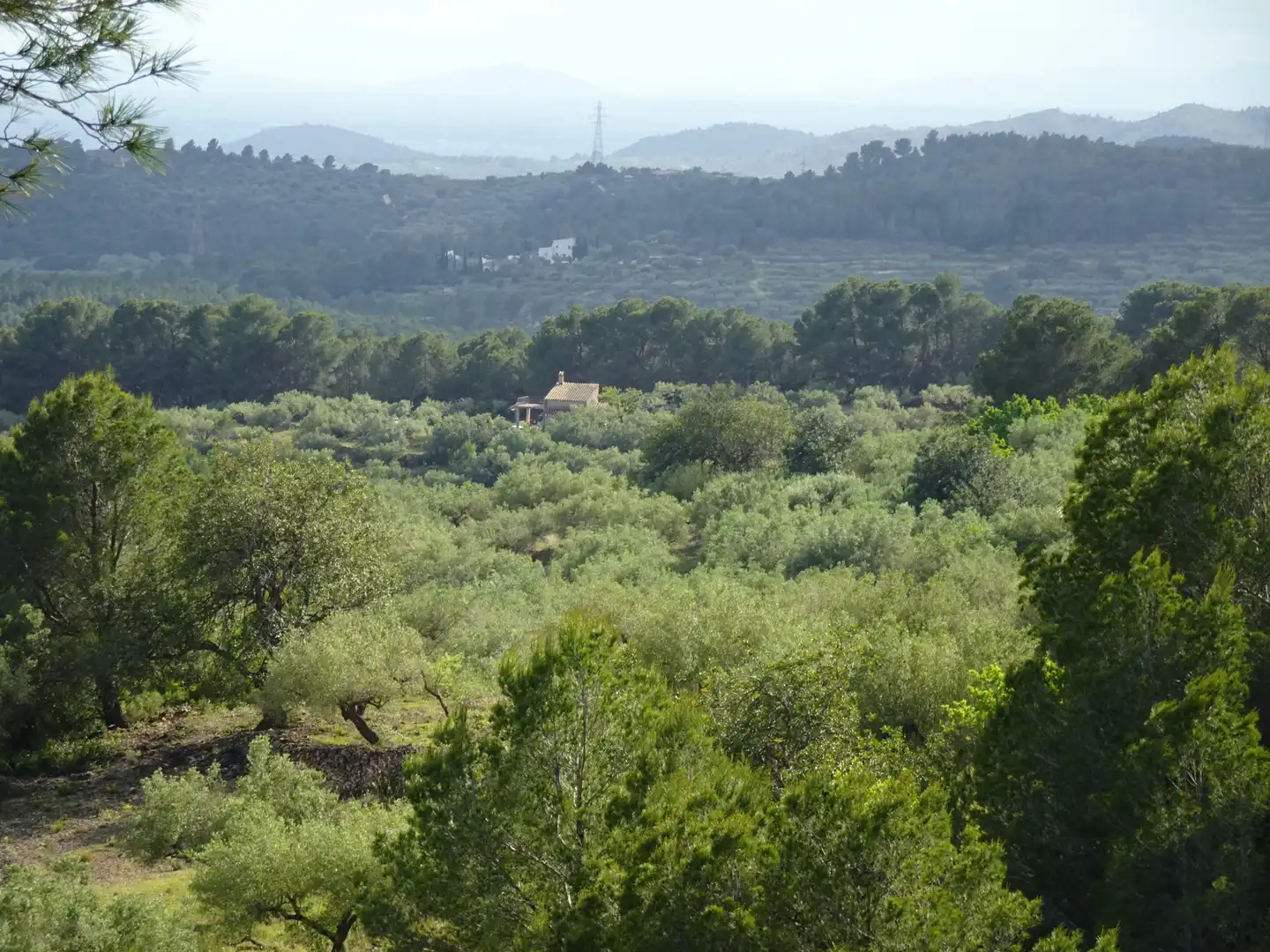 Finca rústica en venta en El Perelló