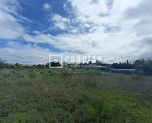 Industrial land for sale in Illana