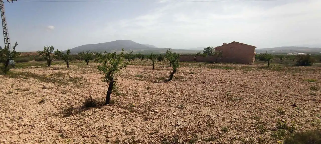 Casa rústica en venda a Pedanías Este, imagen 2