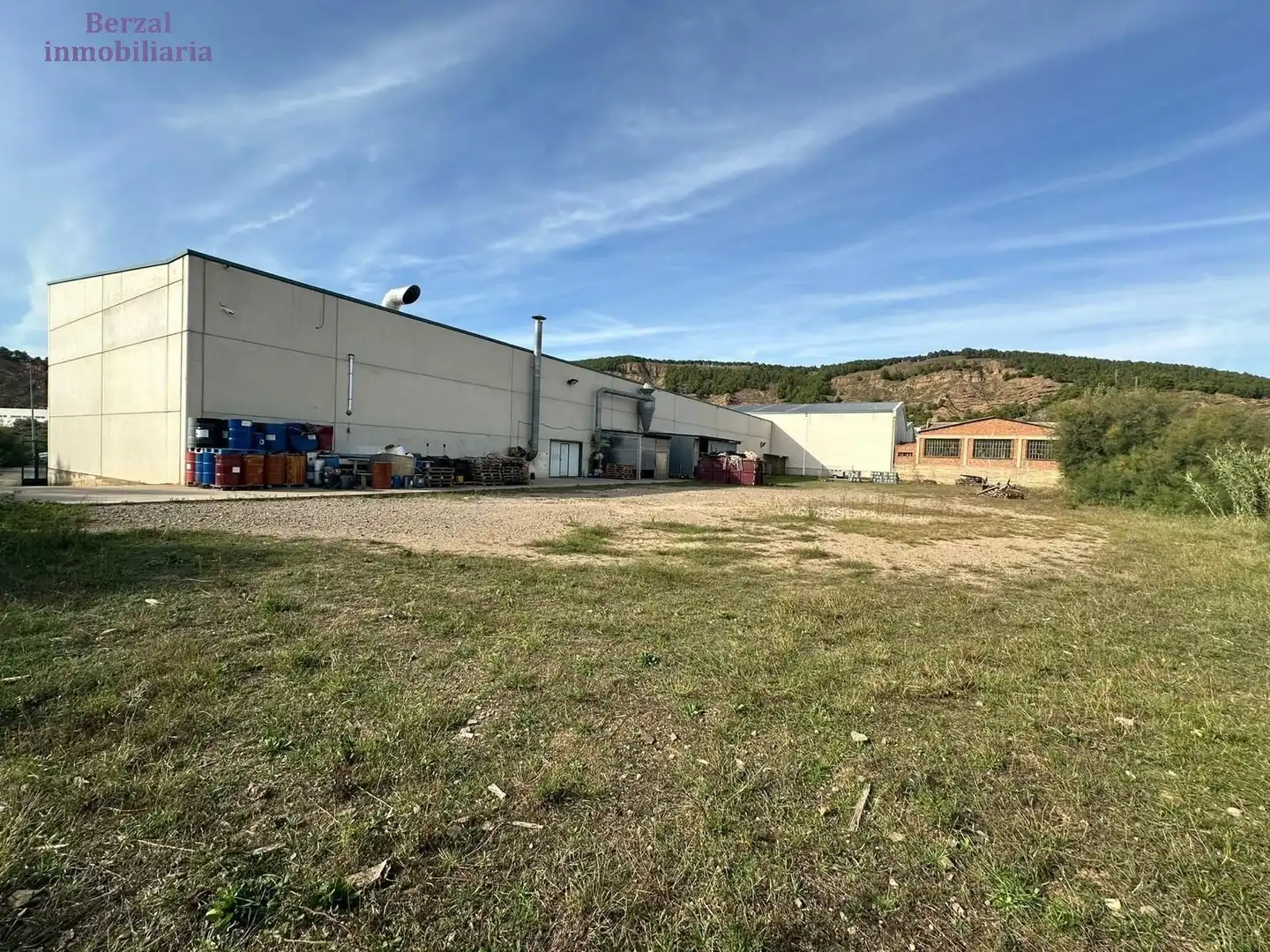 Industriegebäude zum Verkauf in Calle Merida - Poligono Moreta, imagen 4