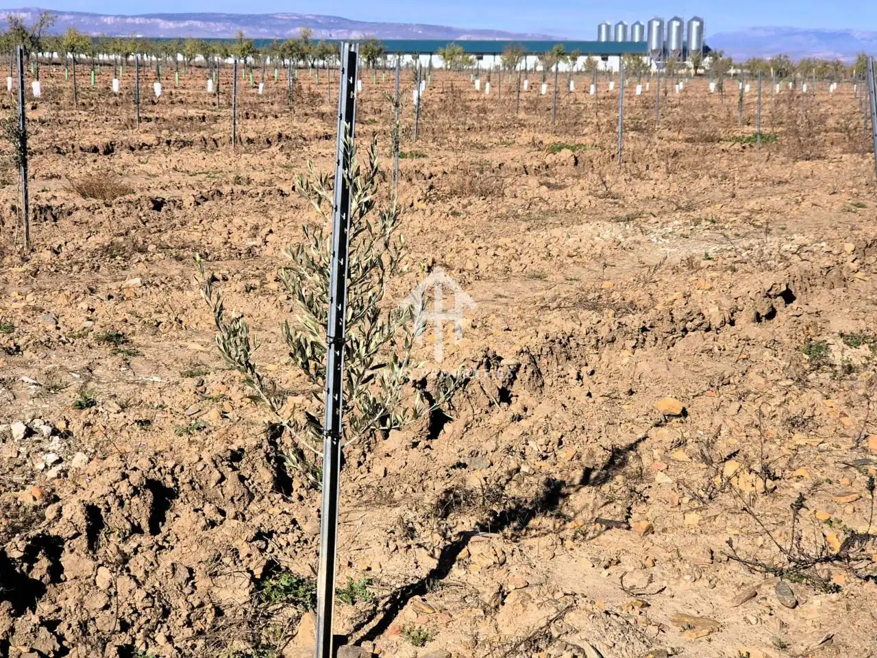 Lands and plots for sale in Lanteira, imagen 69