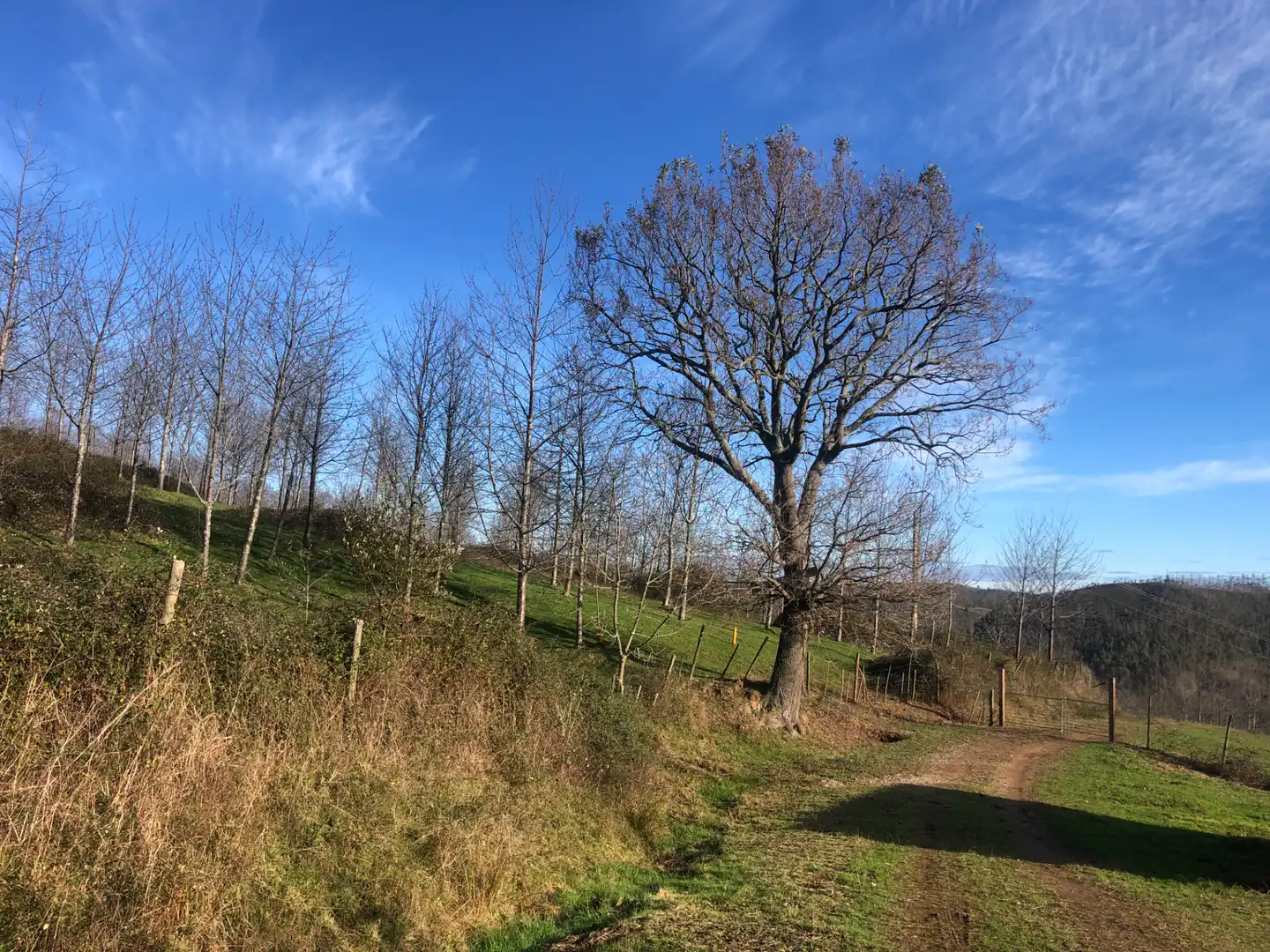Casa o chalet en venta en Valdáliga con Calefacción, Jardín privado y Trastero