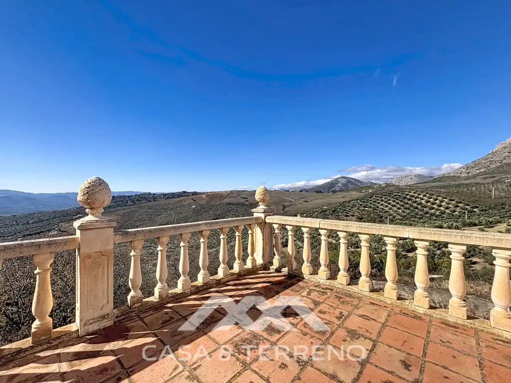Vista exterior de Casa o chalet en venta en Periana con Jardín privado, Terraza y Lavadora