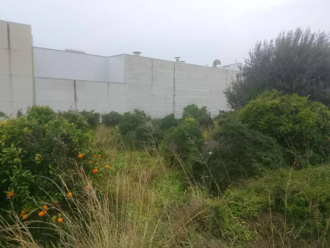 Industrial land for sale in Calle Ponent, imagen 9