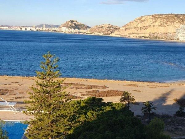 Vista exterior de Pis en venda en Alicante / Alacant amb Aire condicionat, Calefacció i Jardí privat