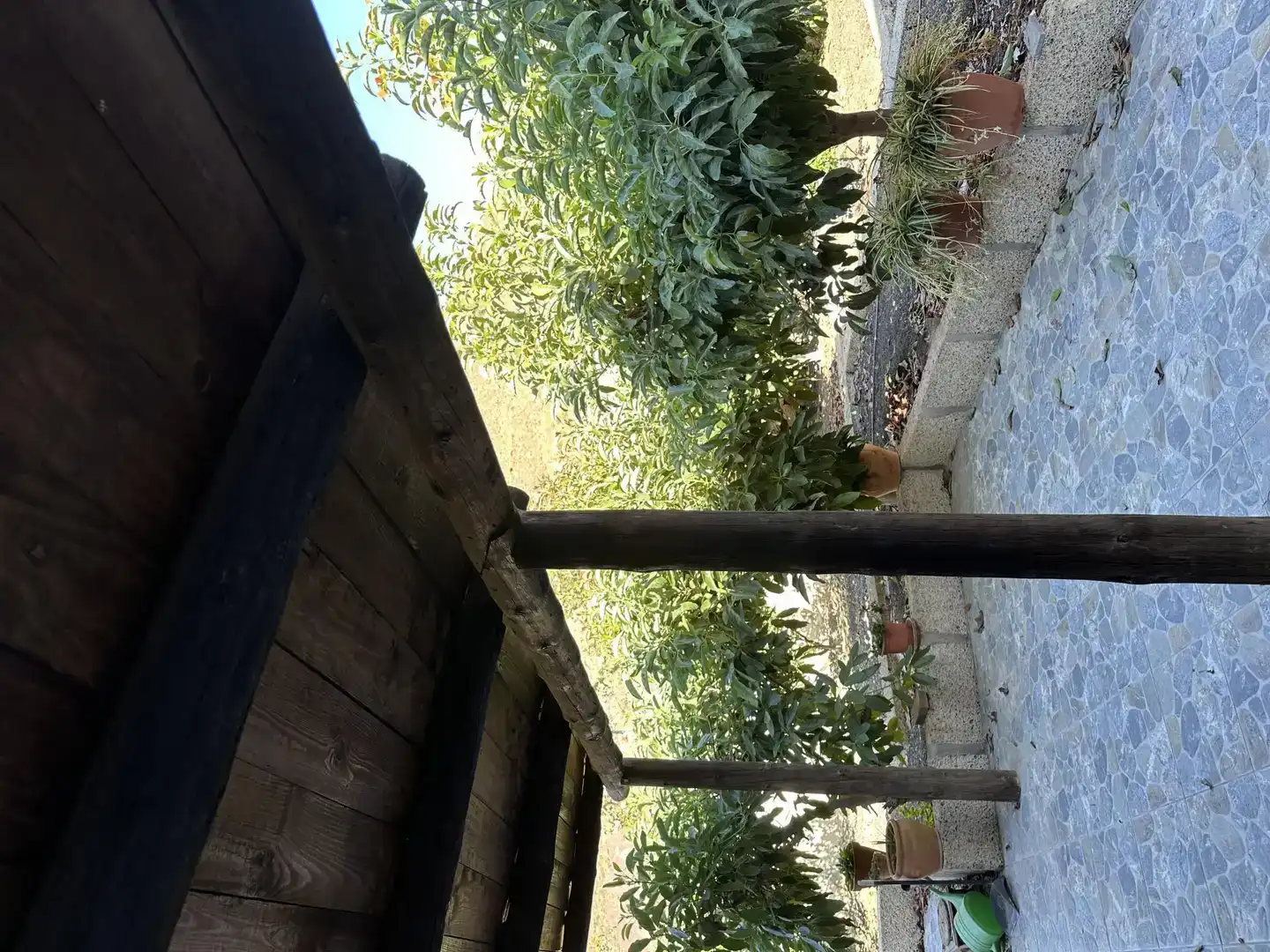 Terrassa de Pis de lloguer en Granadilla de Abona ciudad