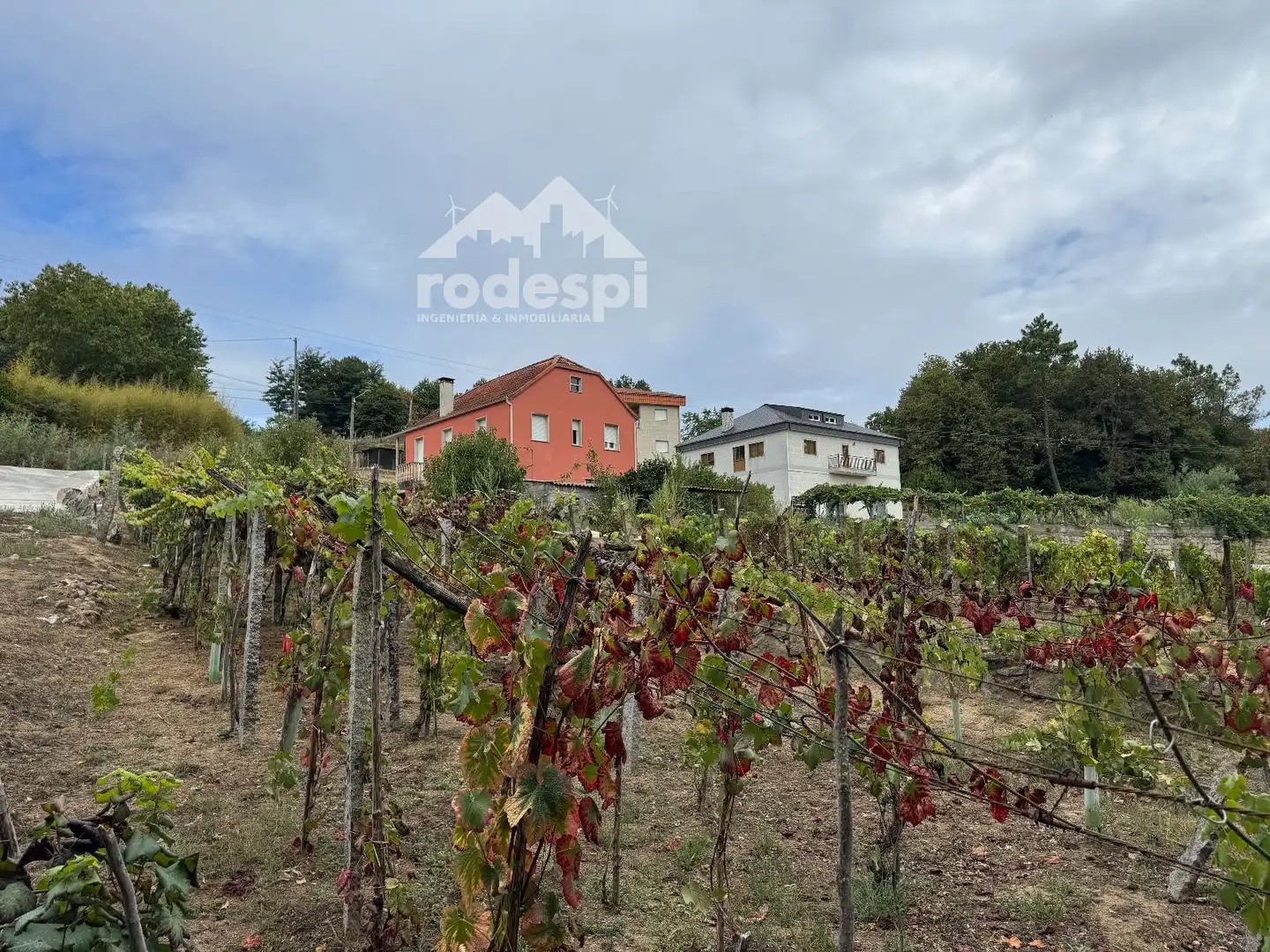 Others for sale in Cortegada, imagen 18