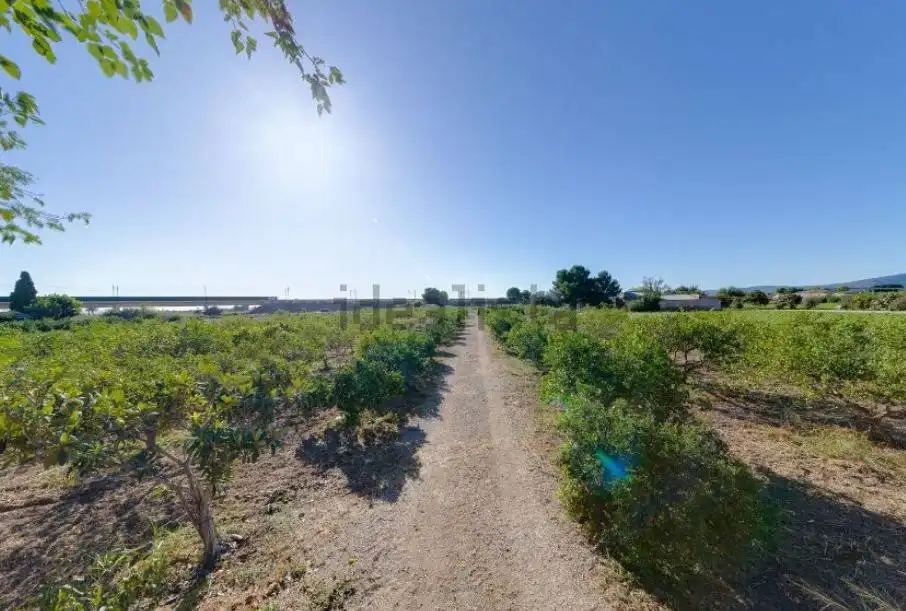 Houses for sale in Barrio Cementerio S F, Callosa de Segura