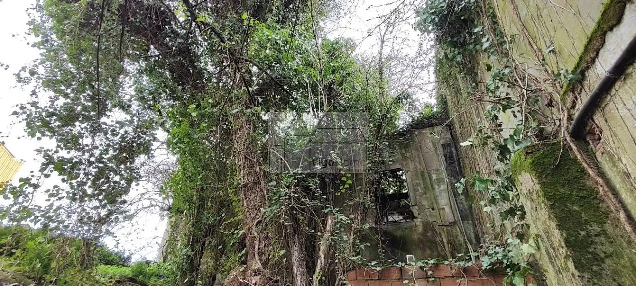 Vista exterior de Casa o chalet en venta en Moaña con Calefacción y Jardín privado