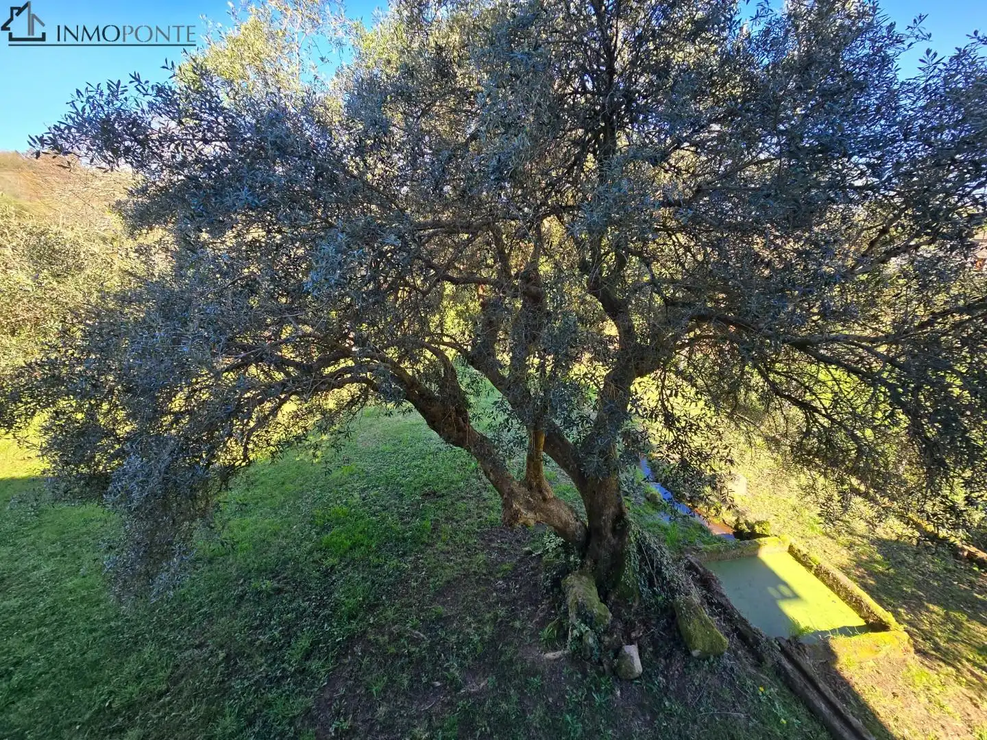 Casa amb jardí en venda a Moraña, imagen 39
