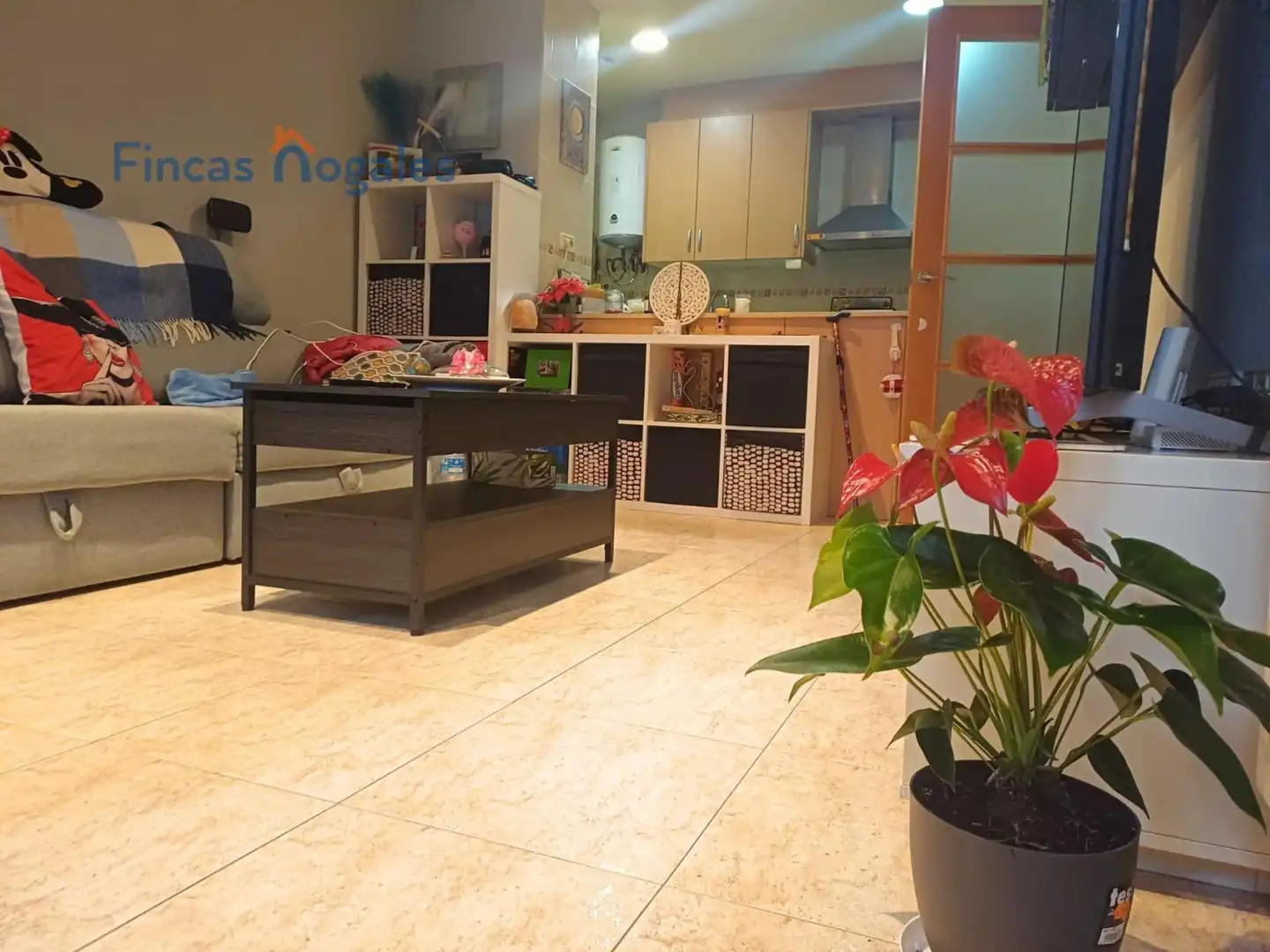 Kitchen of Ground floor for sale in Sabadell