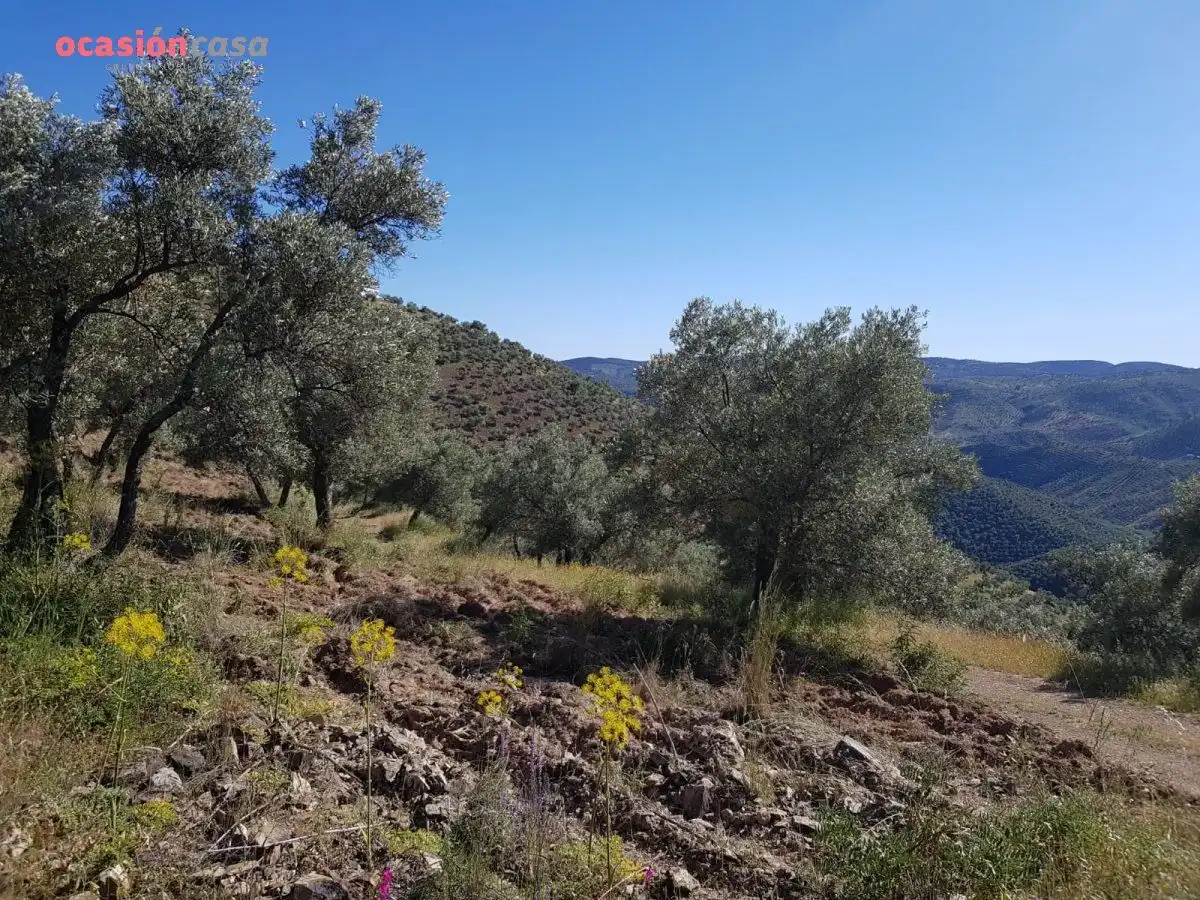 Finca rústica en venta en Villanueva de Córdoba con Jardín privado, Trastero y Amueblado