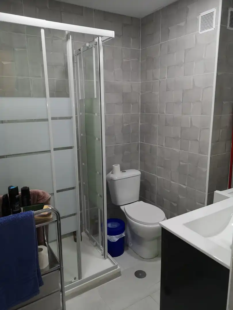 Bathroom of Study for rent in Torremolinos  with Furnished and Pets allowed