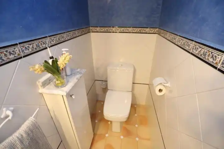 Baño de Casa o chalet en venta en Bilbao  con Terraza y Balcón