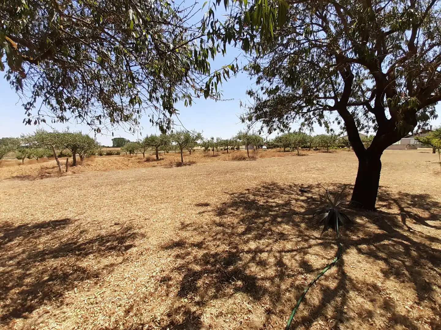 Houses for sale in El Perdigón   with Air Conditioner, Heating and Swimming Pool