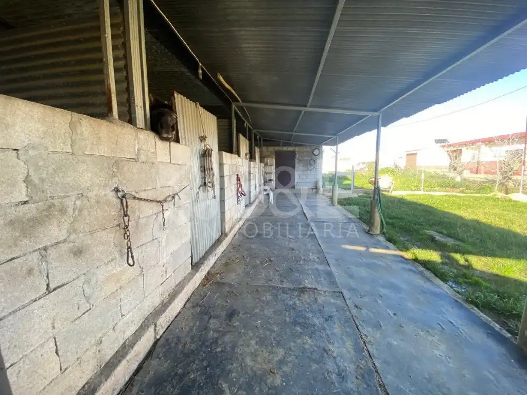 Finca rústica en venta en Gibraleón