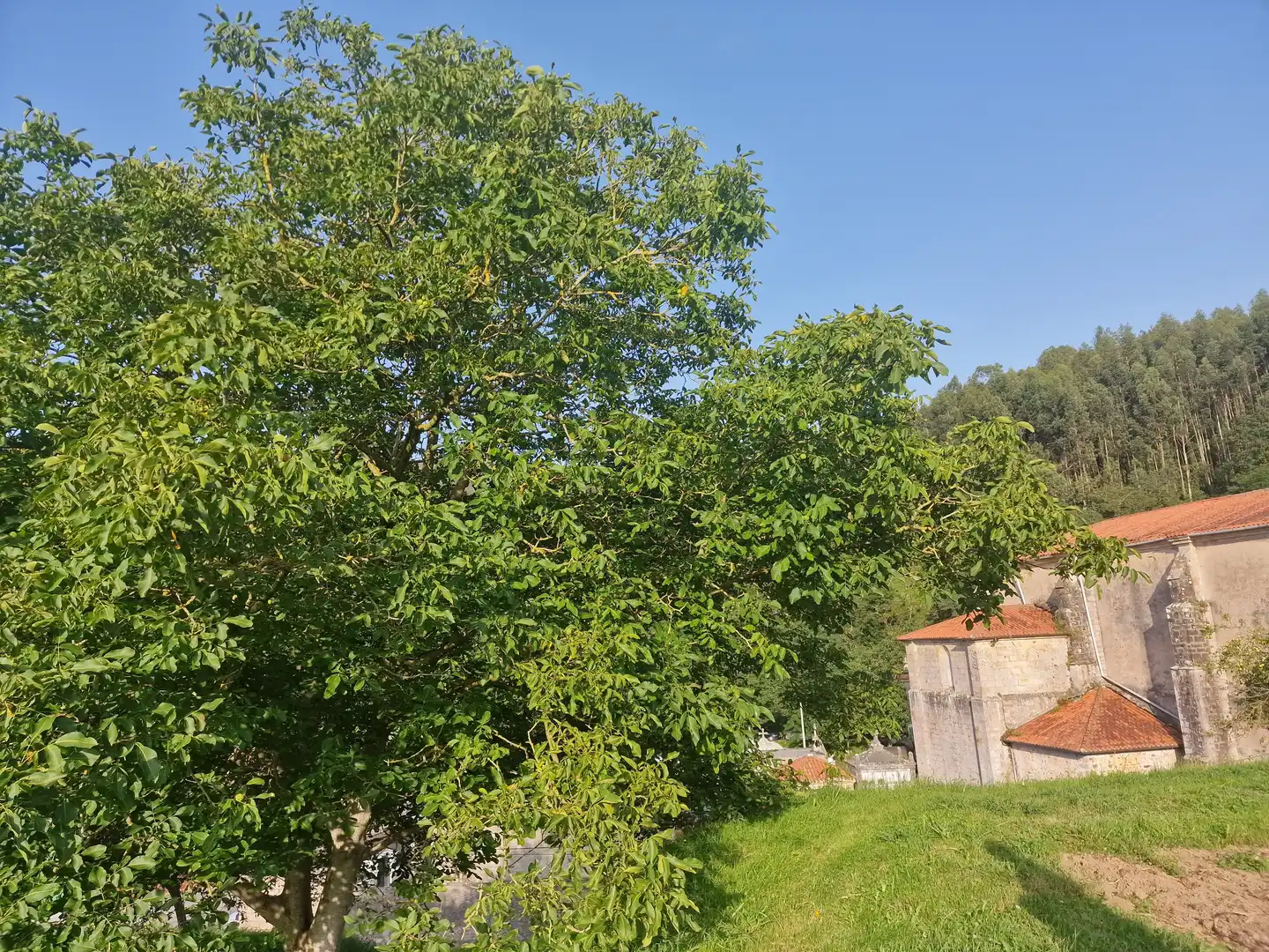 Terreni e lotti in vendita a Otañes - Talledo, imagen 4