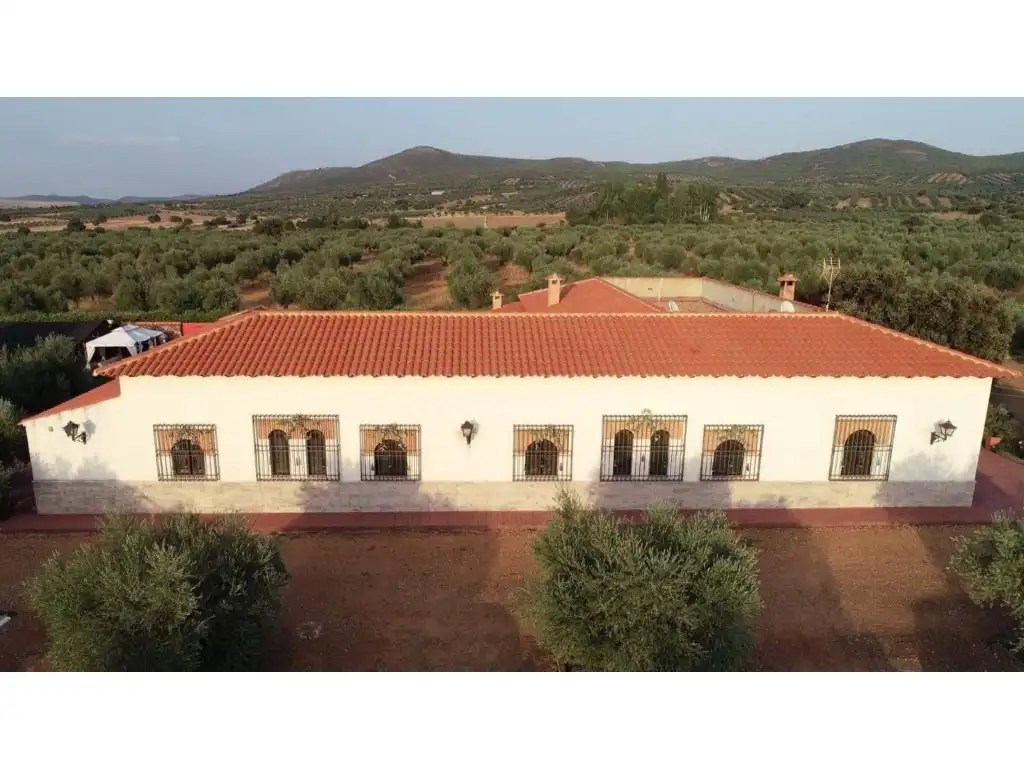 Detached house with pool for sale in Piedrabuena, imagen 3