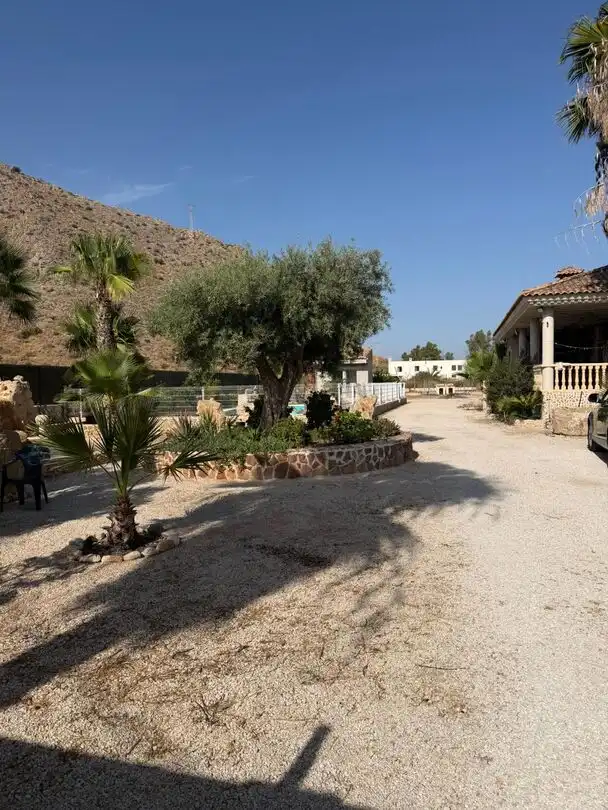 Vista exterior de Casa o chalet en venta en Elche / Elx con Aire acondicionado, Calefacción y Jardín privado