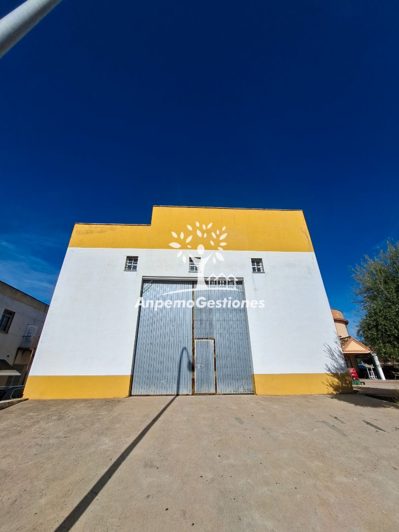 Vista exterior de Nau industrial en venda en Palma del Río