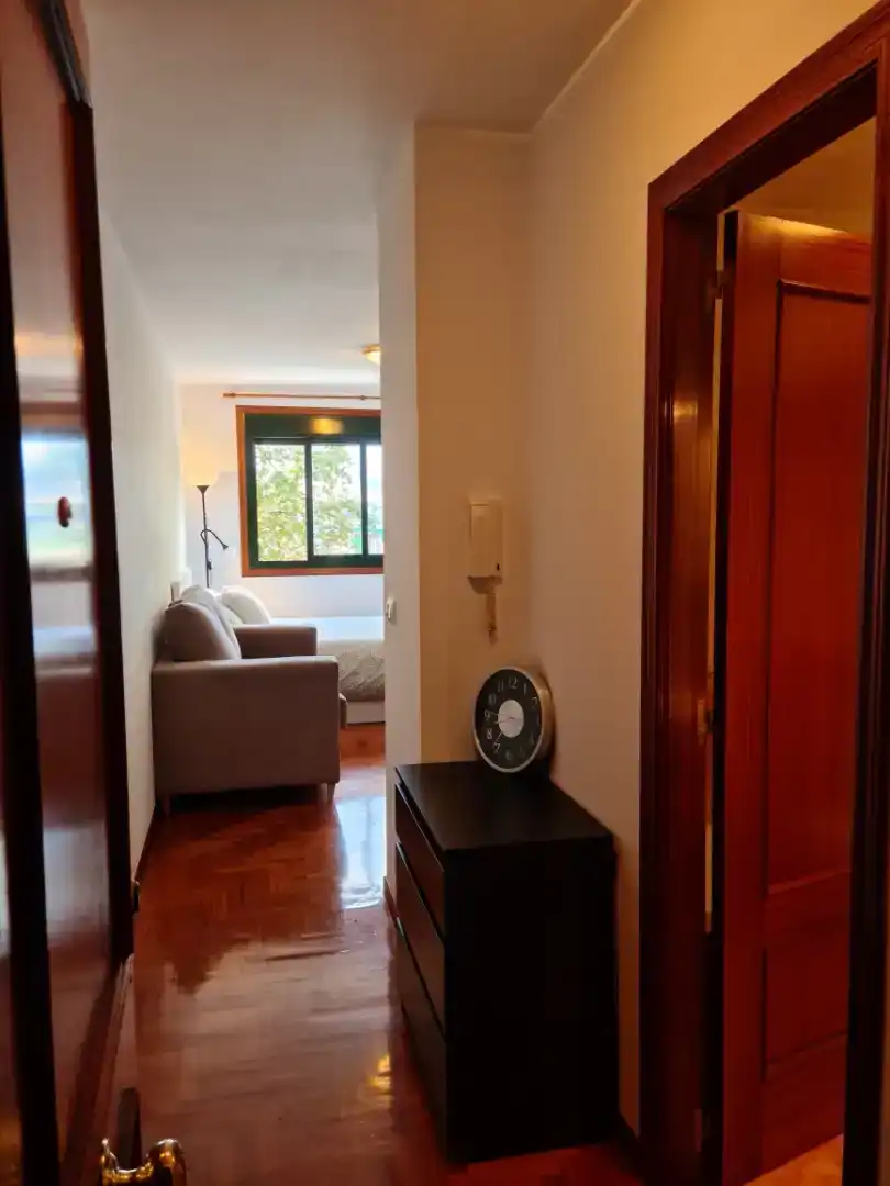 Sala d'estar de Estudi en venda en Vigo 