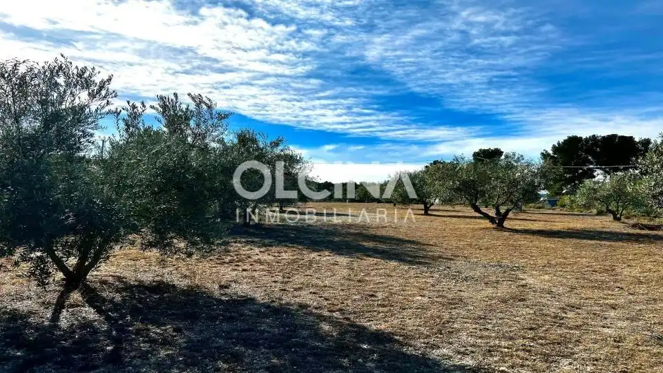 Finca rústica en venda a Ibi