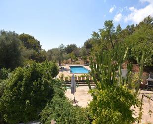 Swimming pool of House or chalet for sale in  Palma de Mallorca  with Terrace and Swimming Pool