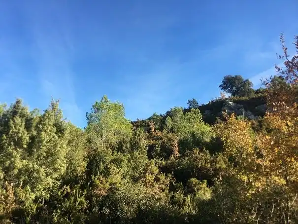 Terreno residenziale in vendita a Partida L'Arboçar, imagen 7