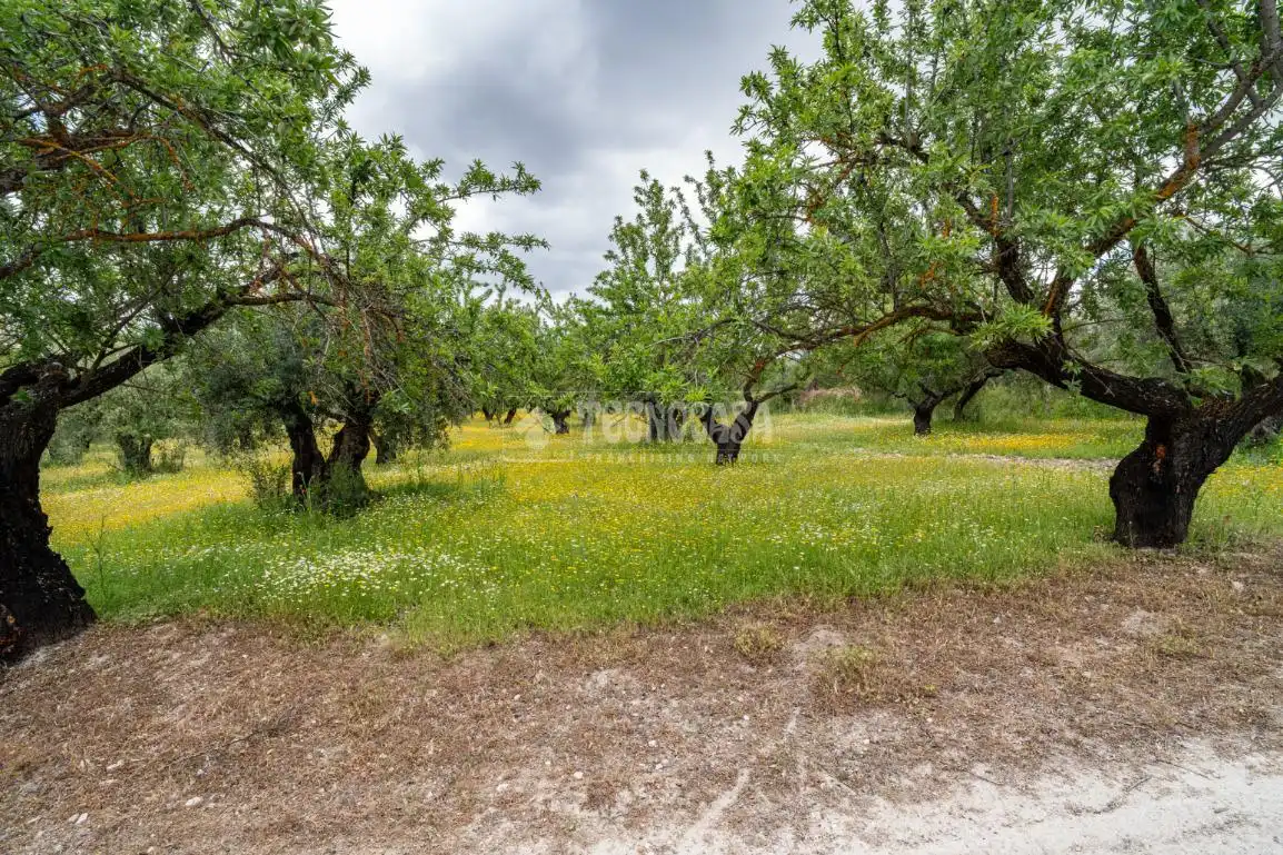 Terreni e lotti in vendita a Albaicín, imagen 33