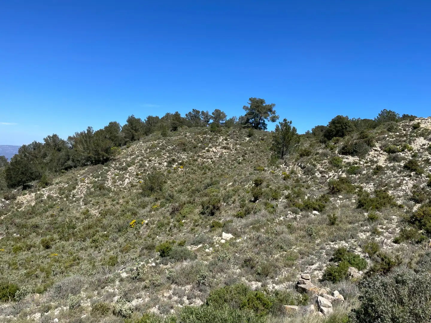 Terrain rustique à vendre à Tivissa, imagen 13