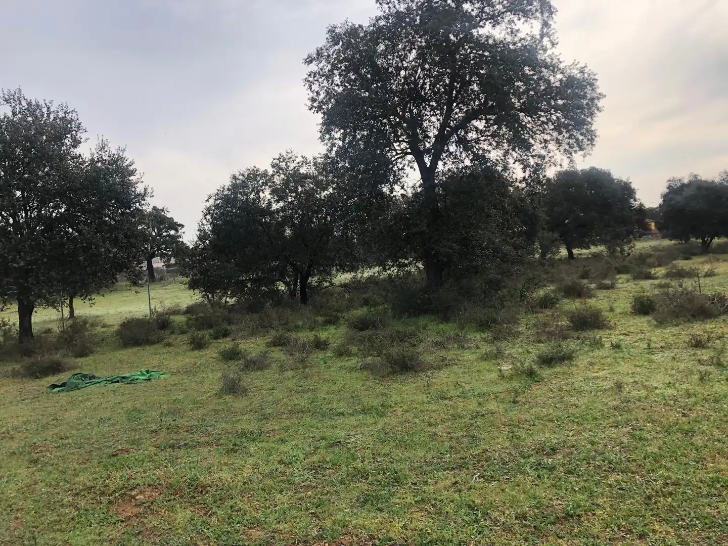 Terreno en venta en Pedanías de Badajoz
