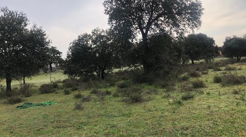 Foto 3 de Terreny en venda a Pedanías de Badajoz, Badajoz Capital
