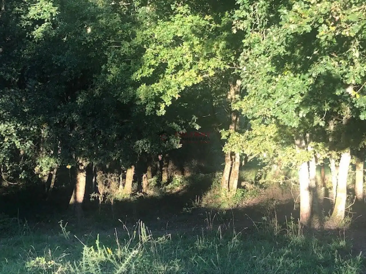 Terreni e lotti in vendita a Nogueira de Ramuín, imagen 14
