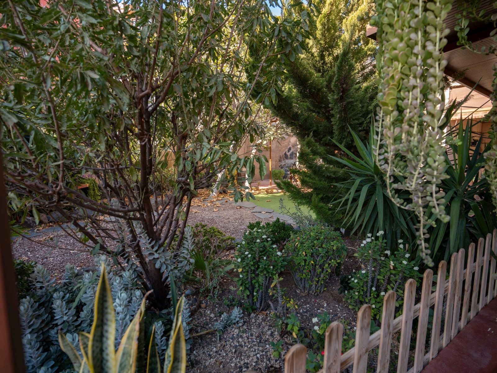 Garden of House or chalet for sale in Güímar  with Private garden, Terrace and Storage room