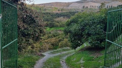 Foto 2 de Finca rústica en venda a Motril  ciudad, Granada