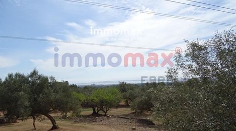 Finca rustica en venta con vistas al mar en LAmpolla, imatge 2