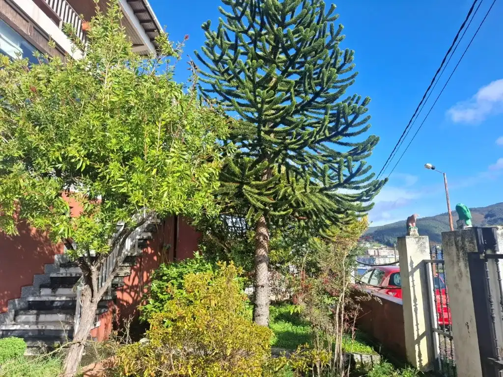 Exterior view of Houses for sale in Viveiro  with Heating, Private garden and Terrace