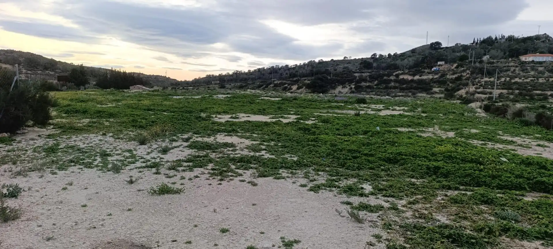 Land for sale in Aspe