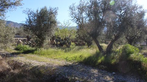 FINCA RÚSTICA DE 568 M2 EN EL ROMERAL, immagine 5