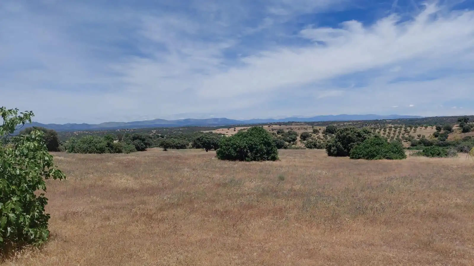 Rural land for sale in Villamanta, imagen 2