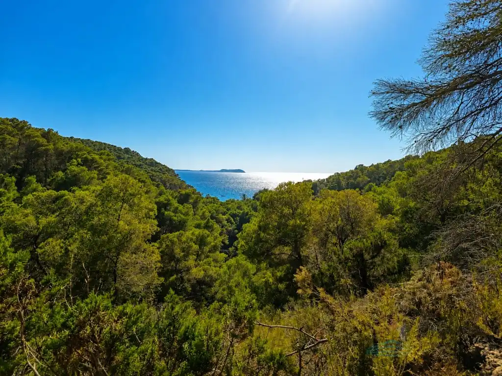 Terreny rústic en venda a Camí Cala Salada, imagen 8