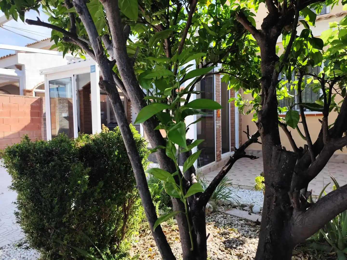 Detached house with pool for sale in Calle Calle Morral, imagen 6