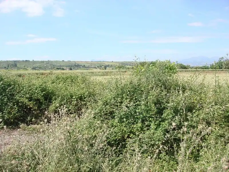 Terreny rústic en venda a Villamediana de Iregua, imagen 4