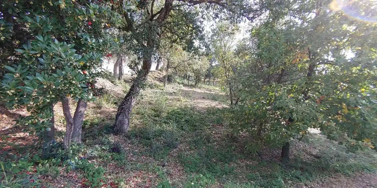 Grundstücke und Bauplätze zum Verkauf in Bescanó, imagen 13